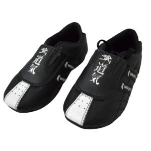 ZAPATO PARA ARTES MARCIALES EVOLUTION