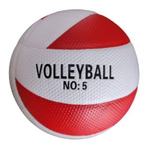 Balón de Voleibol Importado DPS-VB03